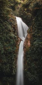 Water,Waterfall,Leaves,Nature,Plants