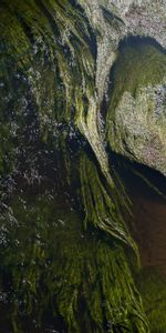 Agua,Ondas,Destello,Deslumbramiento,Algas,Algas Marinas,Naturaleza,Ondulado