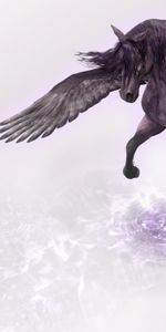 Water,Wings,Pegasus,Horse,Fantasy