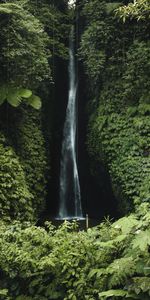 Waterfall,Break,Precipice,Vegetation,Greens,Nature