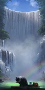 Waterfall,Journey,Wash Up,Wash,Rainbow,Cat,Art