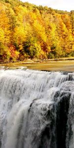 Nature,Forêt,Cascade,Automne