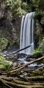 Waterfall,Nature,Stones,Palms,Fern