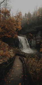 Waterfall,Nature,Trees,Ladder,Rivers,Rocks,Stairs