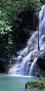 Naturaleza,Hojas,Verduras,Vegetación,Musgo,Garganta,Cascada