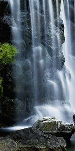 Waterfall,Vegetation,Moss,Jet,Jets,Nature,Stones,Wall