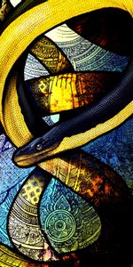 Winding,Sinuous,Art,Patterns,Snake