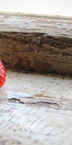 Window Sill,Windowsill,Food,Strawberry,Berry