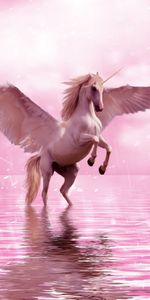 Licorne,Fantaisie,Ailes,Aile,Cheval