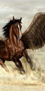 Wings,Sand,Pegasus,Horse,Fantasy