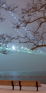 Winter,Bridges,Trees,Night,Landscape