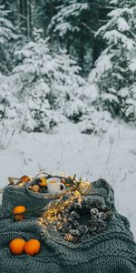 Winter,Christmas,Mood,Comfort,Coziness,Picnic,Food,Snow,Forest