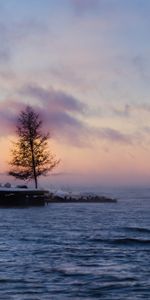 Winter,Fog,Bay,Sweden,Nature,Dawn