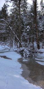 Winter,Forest,Nature,Rivers,Snow,Landscape