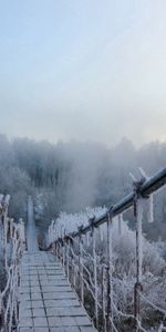 Winter,Height,Bridge,Hanging,Suspension,Hoarfrost,Frost,Nature,Cold