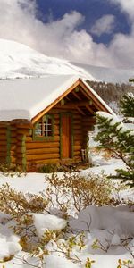 Sapins,Maisons,Hiver,Paysage