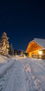 Invierno,Árboles,Noche,Paisaje,Nieve,Casas