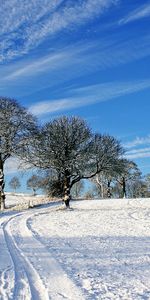 Hiver,Paysage