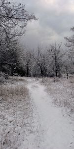 Winter,Landscape