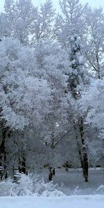 Winter,Landscape