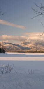 Paisaje,Invierno