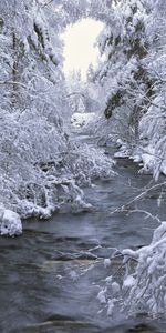 Winter,Landscape,Nature