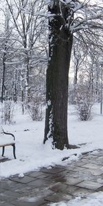 Winter,Landscape,Snow