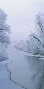 Winter,Landscape,Snow