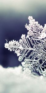 Winter,Macro,Snowflake,Snow