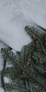 Winter,Miscellanea,Branch,Spruce,Fir,Rowan,Miscellaneous,Texture