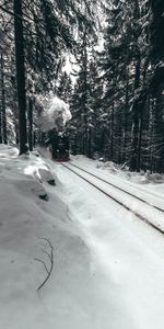 Forêt,Locomotive,Locomotive À Vapeur,Neige,Un Train,Hiver,Train,Divers