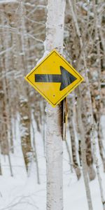 Winter,Miscellanea,Miscellaneous,Wood,Tree,Pointer,Forest,Sign