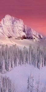 Hiver,Montagnes,Paysage