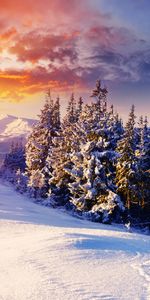 Neige,Paysage,Hiver,Montagnes