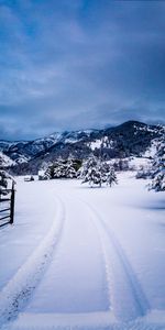 Arbres,Neige,Montagnes,Hiver,Nature