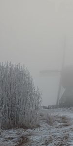 Brouillard,Nature,Buissons,Neige,Moulin,Givre,Hiver,Gel,Brume