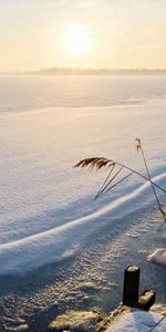 Rêve,Couverture,Couvrir,Rive,Banque,Buissons,Lac,Dormir,Hiver,Neige,Nature