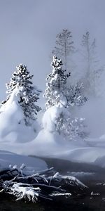 Winter,Nature,Evaporation,Rivers,Snow,Forest