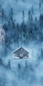 Forêt,Brouillard,Nature,Loger,Hiver,Maison,Neige