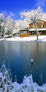 Winter,Nature,Lake,Reeds,Day,Snow,Ice,House