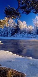 Winter,Nature,Landscape