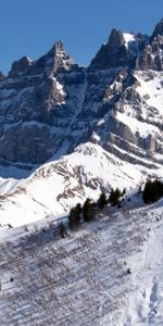 Naturaleza,Montaña,Cuesta,Pendiente,Invierno,Árboles,Nieve,Paisaje