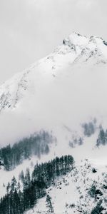 Winter,Nature,Mountain,Vertex,Top,Snow Covered,Snowbound,Slope