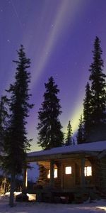 Invierno,Naturaleza,Noche,Paisaje