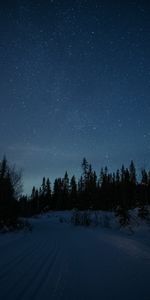 Winter,Nature,Night,Snow,Forest,Stars,Road