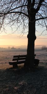 Winter,Nature,Privacy,Seclusion,Frost,Hoarfrost,Silence,Bench,Dawn