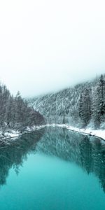 Winter,Nature,Rivers,Forest,Snowbound,Snow Covered,Landscape