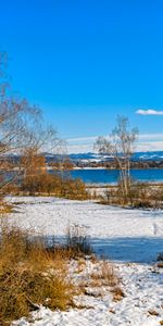 Invierno,Naturaleza,Ríos,Nieve,Orilla,Banco,Paisaje