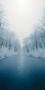 Winter,Nature,Rivers,Snow,Trees,Ice