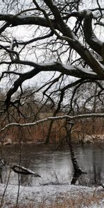 Bois,Arbre,Nature,Rivières,Neige,Hiver